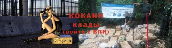 ГАЛЛЮЦИНОГЕННЫЕ ГРИБЫ Абаза