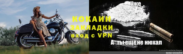 ГАЛЛЮЦИНОГЕННЫЕ ГРИБЫ Абаза