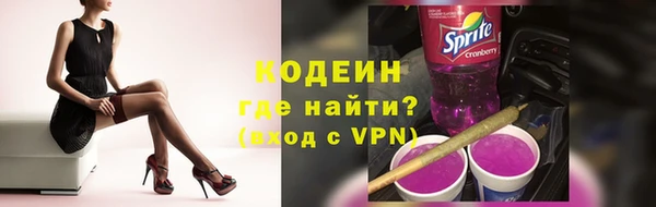ГАЛЛЮЦИНОГЕННЫЕ ГРИБЫ Абаза