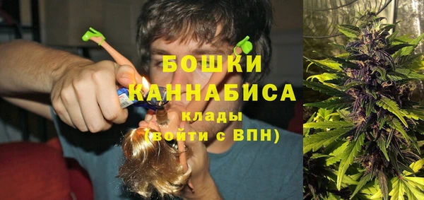 ГАЛЛЮЦИНОГЕННЫЕ ГРИБЫ Абаза
